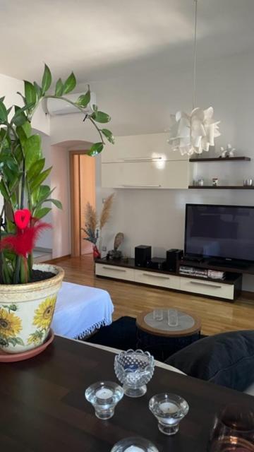 רייקה Apartment Marina מראה חיצוני תמונה