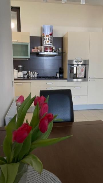 רייקה Apartment Marina מראה חיצוני תמונה